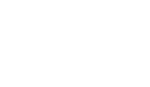 Logo Fusion Blanco