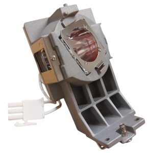 Bombilla Pro-Gen OEM con carcasa Lámpara para JVC PK-L2417UW PJ-L2417UW