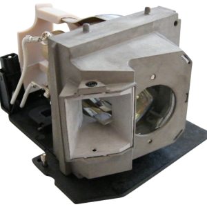 Bombilla Pro-Gen OEM con carcasa Lámpara para OPTOMA SP.8BH01GC01 BL-FU300A