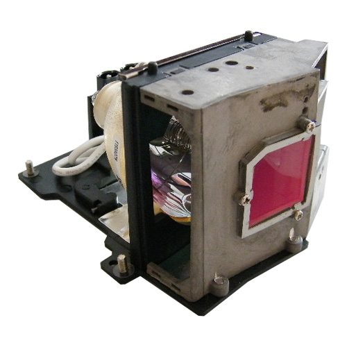 Bombilla Pro-Gen OEM con carcasa Lámpara para OPTOMA SP.89601.001 BL-FS300A
