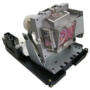 Bombilla Pro-Gen OEM con carcasa Lámpara para INFOCUS SP-LAMP-065