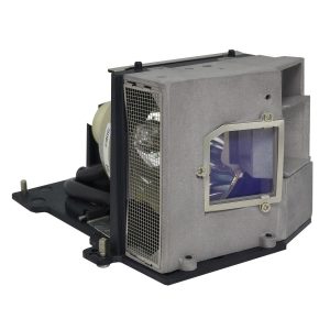 Bombilla Pro-Gen OEM con carcasa Lámpara para OPTOMA SP.81D01.001 BL-FU250D