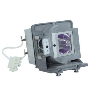 Bombilla Pro-Gen OEM con carcasa Lámpara para VIEWSONIC RLC-090